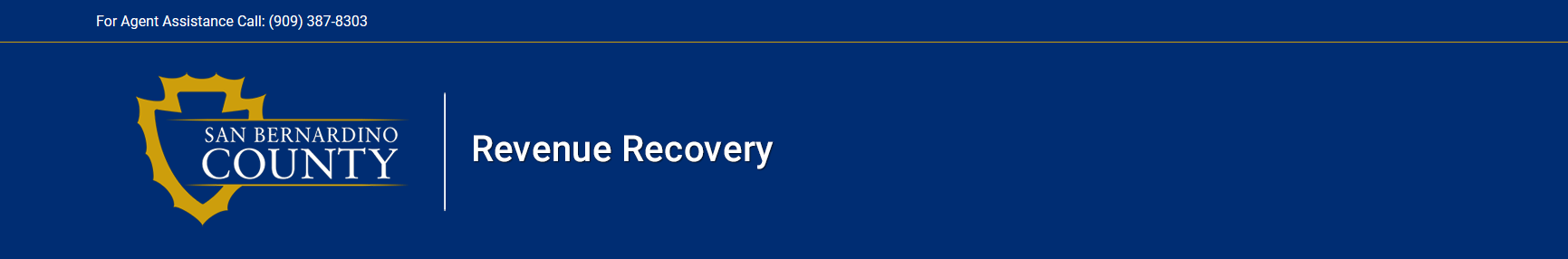 San Bernardino County Revenue Recovery - PaymentExpress®